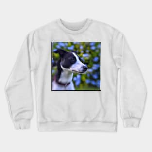 mutt Crewneck Sweatshirt